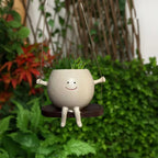 Swing Planter