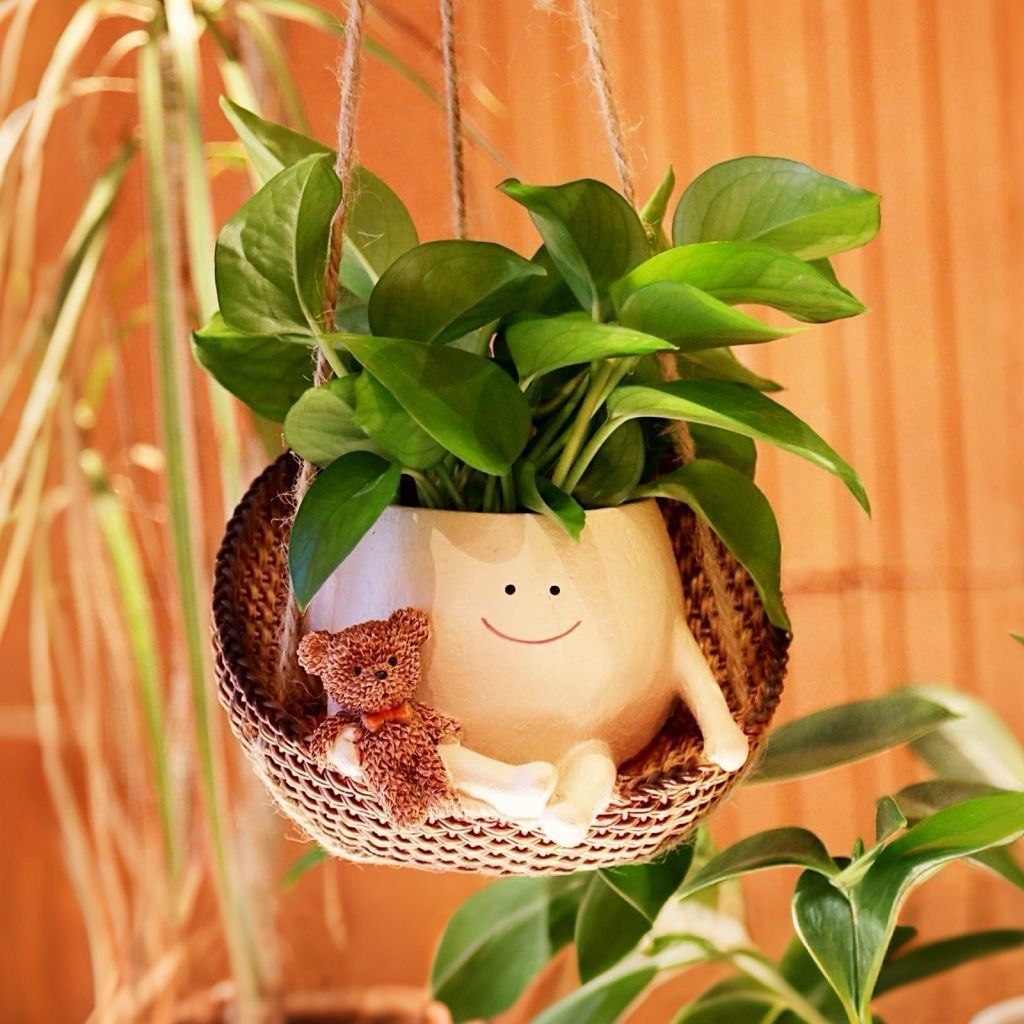 Hammock Planter